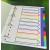 A4 Portrait Wide Multicoloured Polypropylene Dividers, Set of 10 - view 3